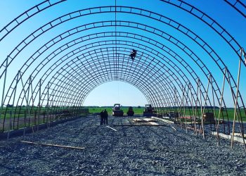 0 02 05 a214af824cb3feb99655765177a03dff6b808112c68074b2c4c9b871d689e88c 466e0e7d