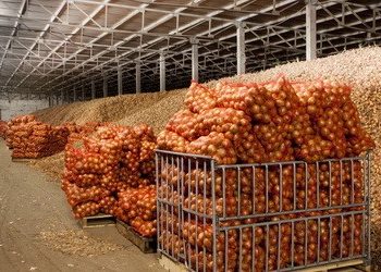 kartofelehranilishhe