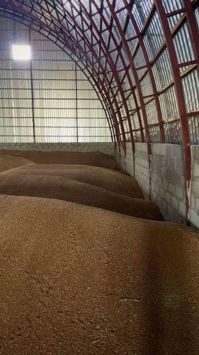 Будівництво складу зерносховища в Україні